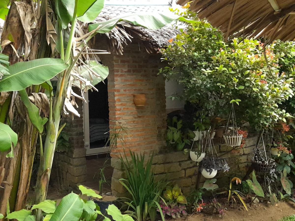 Bed and Breakfast La Terrazza Hoi An Exterior foto
