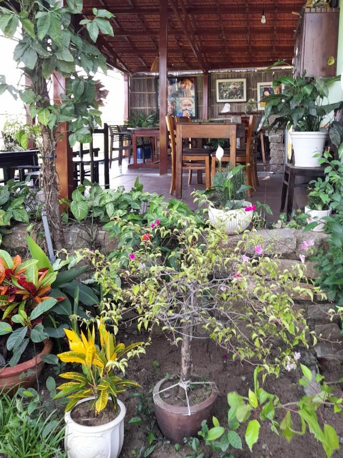 Bed and Breakfast La Terrazza Hoi An Exterior foto