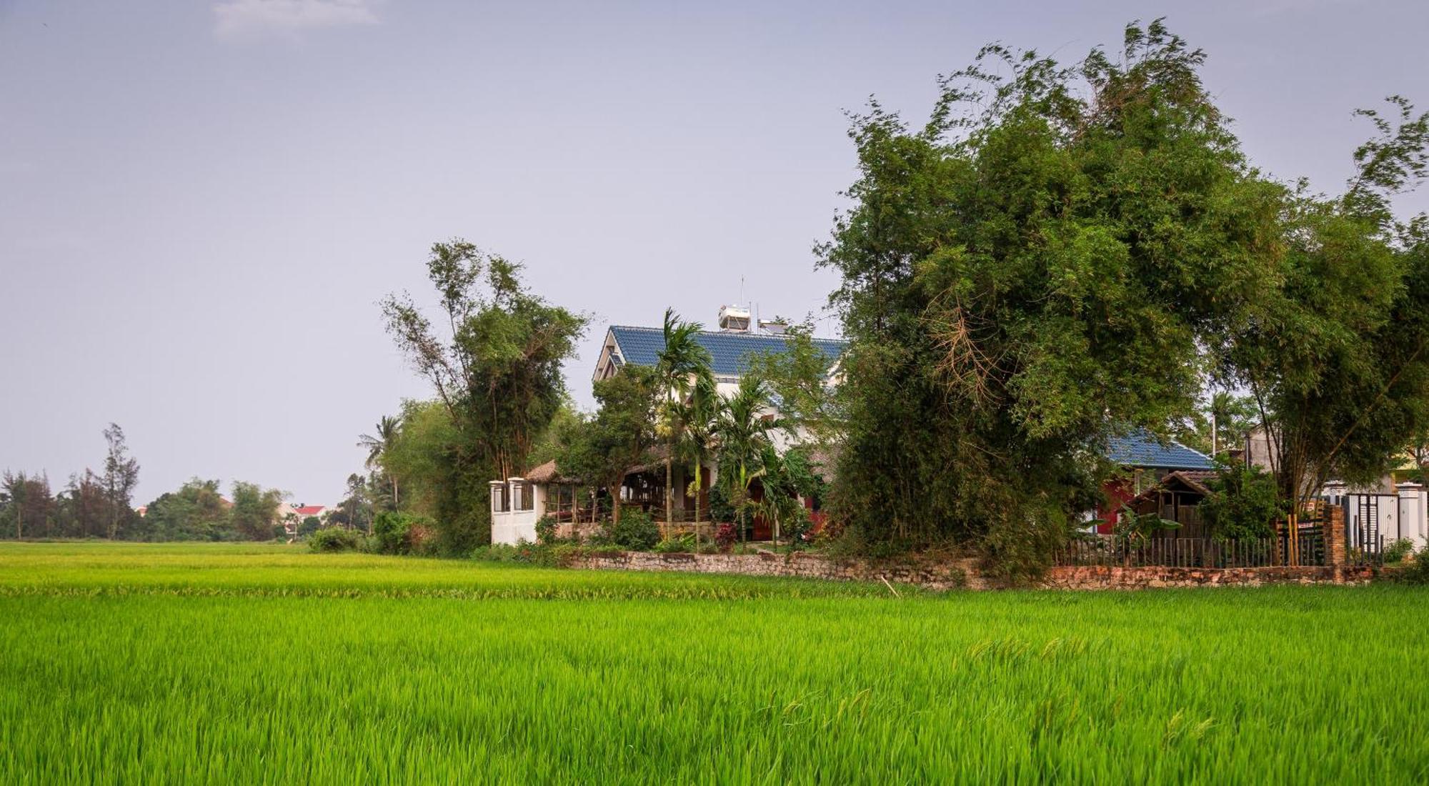 Bed and Breakfast La Terrazza Hoi An Exterior foto